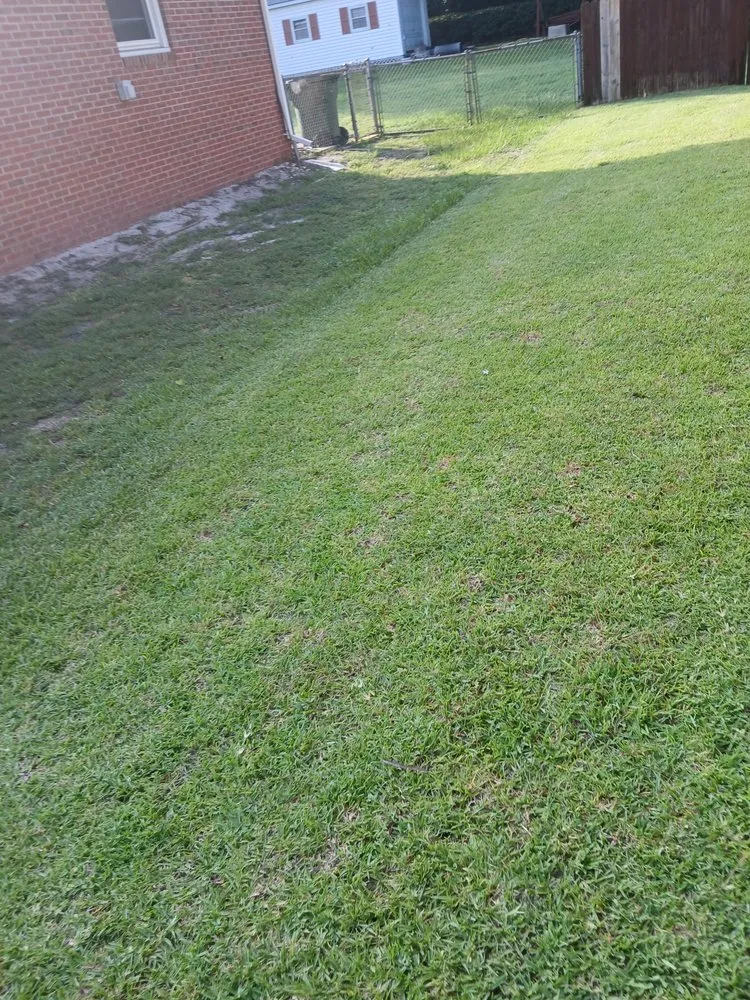 Professional yard cleanup service in Leland, NC by Clarida's Cleaning and Hauling Services