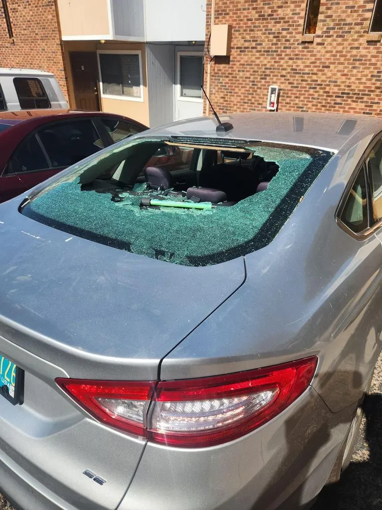 Reliable landscaping services near you across Rio Rancho, NM - Clarity Auto Glass