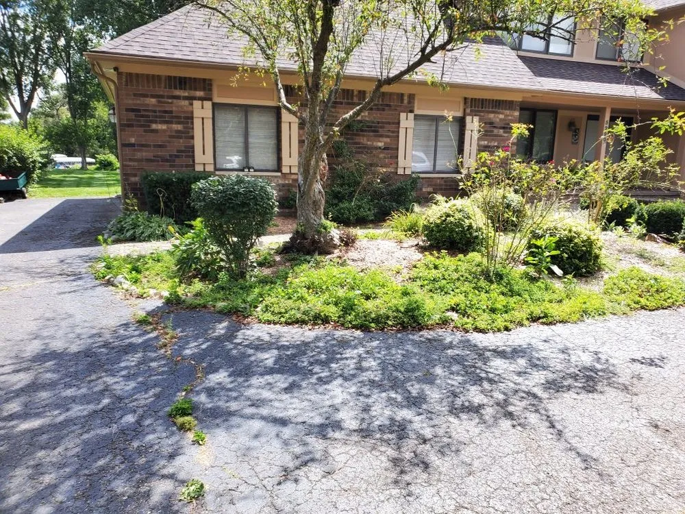 Professional landscaping services for year-round maintenance across Brighton, MI - Clarity Landscape Solutions