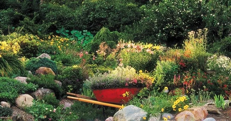 Reliable yard maintenance experts serving Brighton, MI - Clarity Landscape Solutions