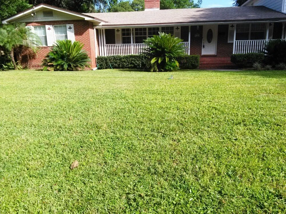 Local yard cleanup service with custom design in Jacksonville, FL by Clarity Pools and Lawns