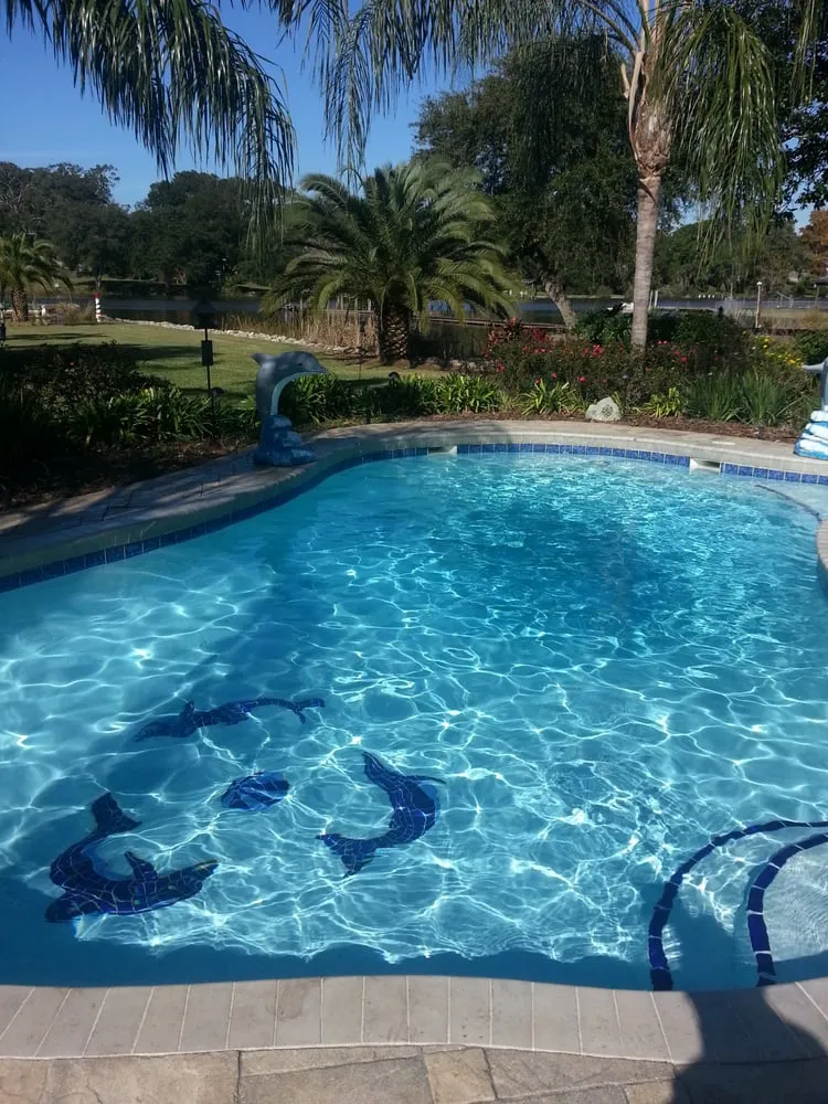 Professional outdoor landscaping experts serving Jacksonville, FL - Clarity Pools and Lawns