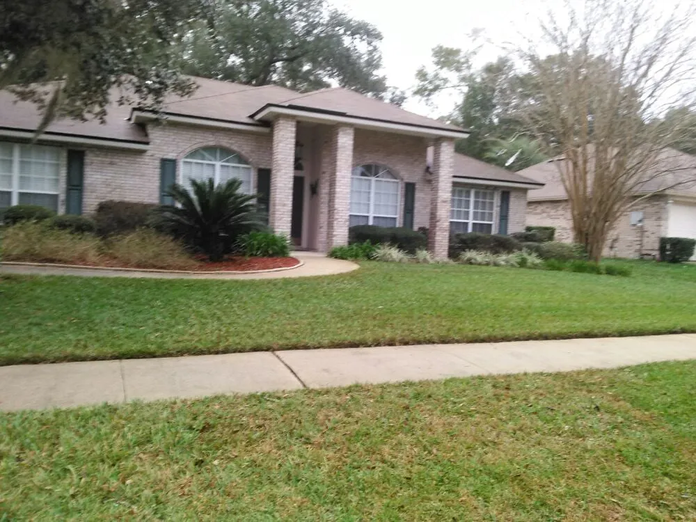 Top-rated landscape installation for year-round maintenance in Jacksonville, FL by Clarity Pools and Lawns