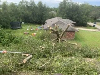 Top-rated yard cleanup service near you in Deltona, FL by Clark & More Land Clearing & Tree Service