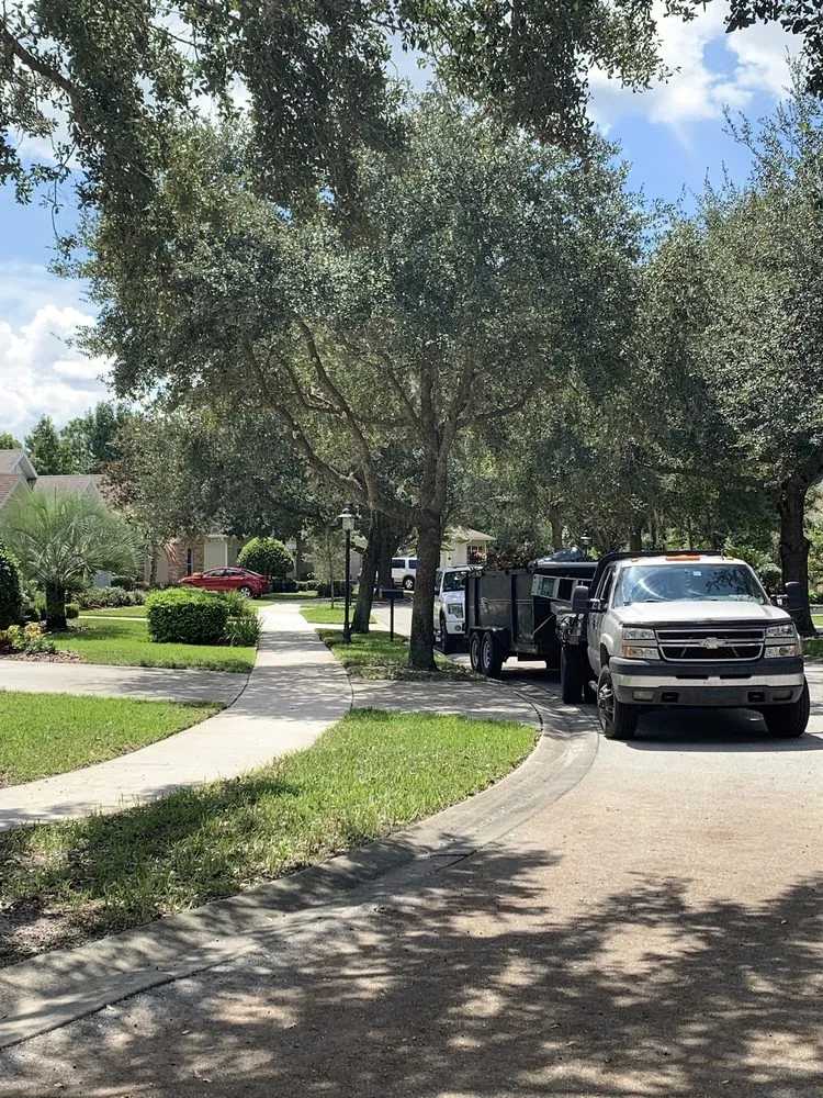 Top-rated landscape installation in Deltona, FL by Clark & More Land Clearing & Tree Service