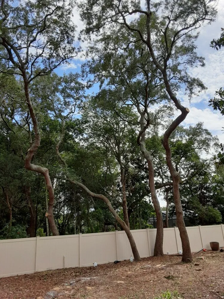 Reliable yard cleanup service for residential properties in Deltona, FL by Clark & More Land Clearing & Tree Service