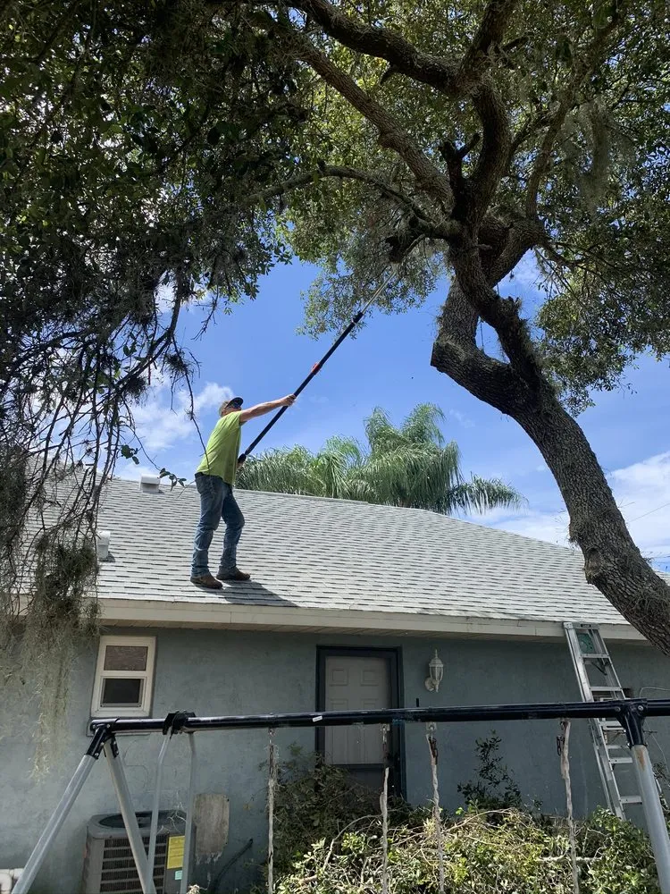 Trusted yard cleanup service in Deltona, FL by Clark & More Land Clearing & Tree Service