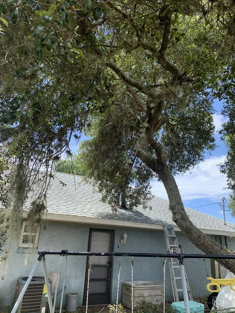 Top-rated yard maintenance in Deltona, FL by Clark & More Land Clearing & Tree Service