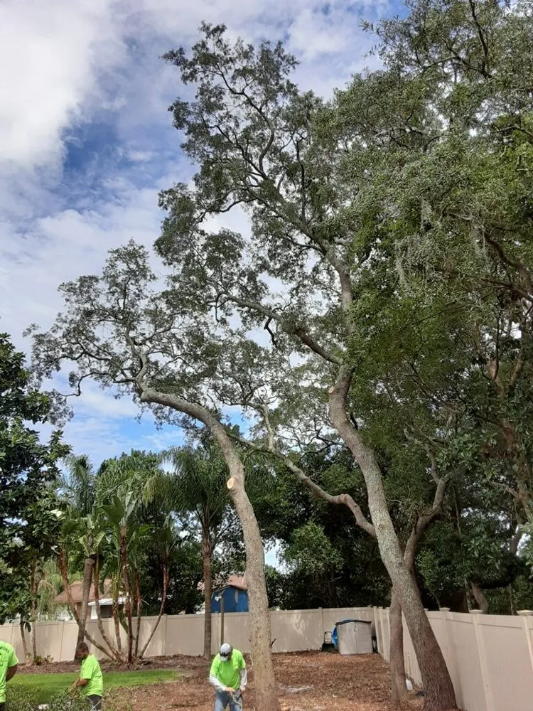 Top-rated garden landscaping with custom design across Deltona, FL - Clark & More Land Clearing & Tree Service