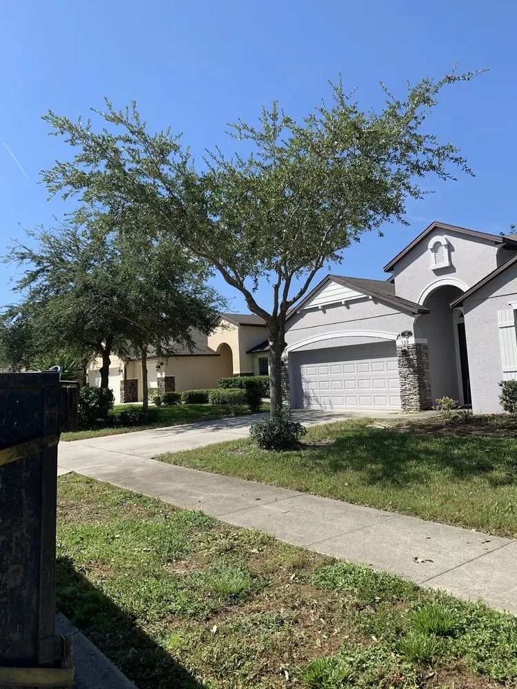 Expert landscaping services for year-round maintenance across Deltona, FL - Clark & More Land Clearing & Tree Service