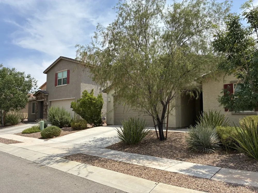 Expert landscape design in Tucson, AZ - Clark Brothers Landscaping