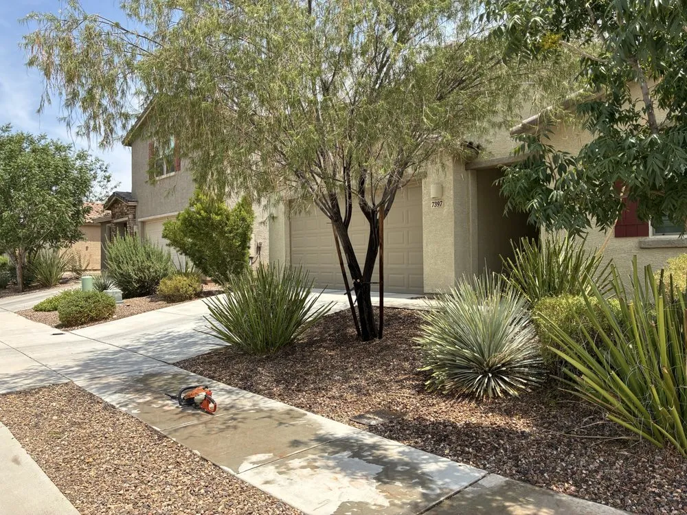 Custom yard maintenance in Tucson, AZ - Clark Brothers Landscaping