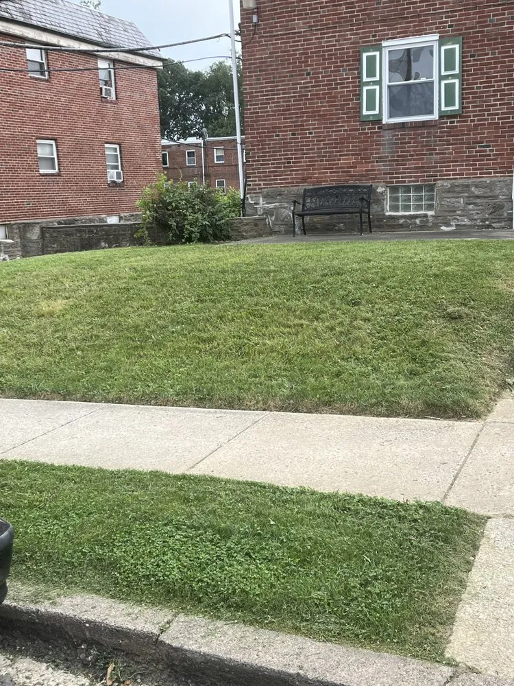 Affordable yard cleanup service for outdoor upgrades in Philadelphia, PA by Clark Brothers Lawn Care