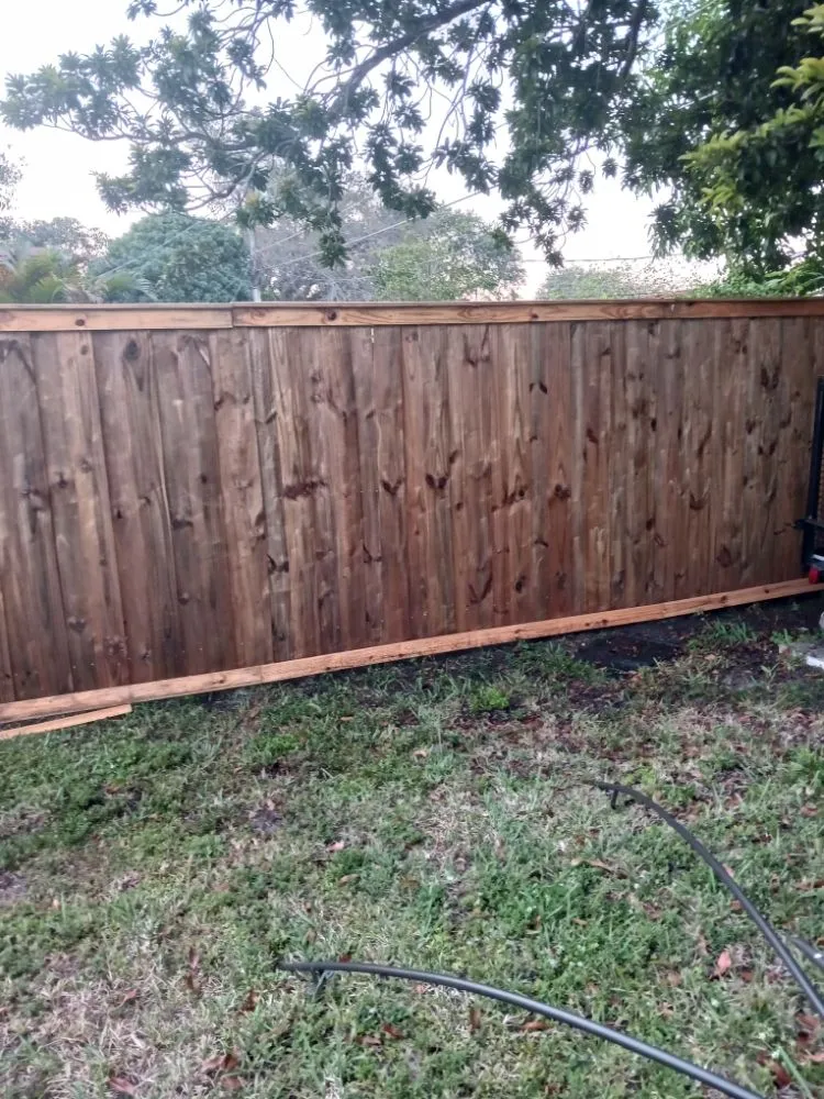 Trusted outdoor landscaping experts serving Miami, FL - Clark Cleaning Services