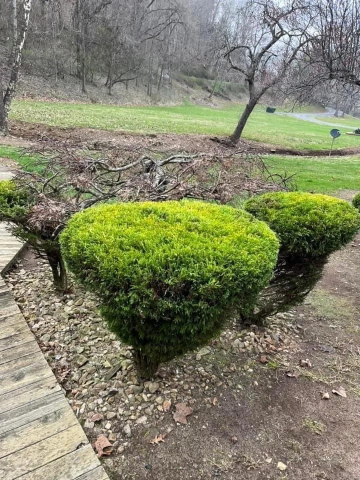 Reliable garden landscaping experts serving Princeton, WV - Clark Cuts