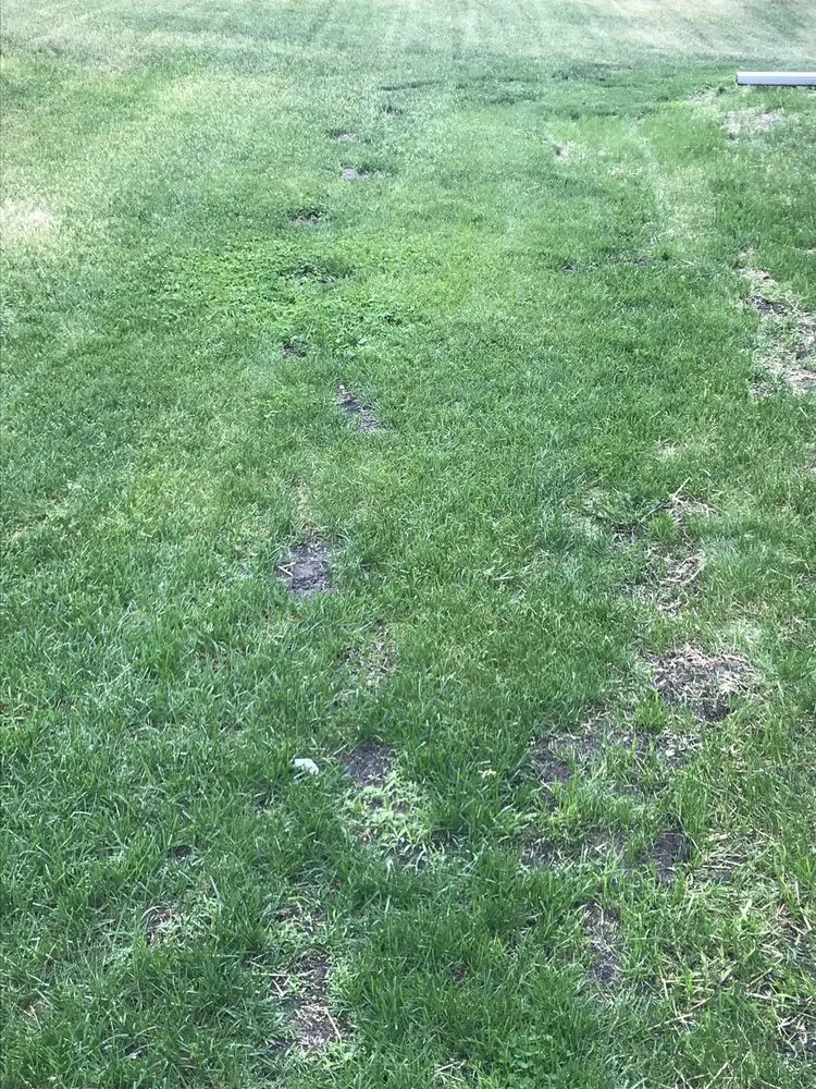 Trusted landscape installation for homes across Elk River, MN - Clark