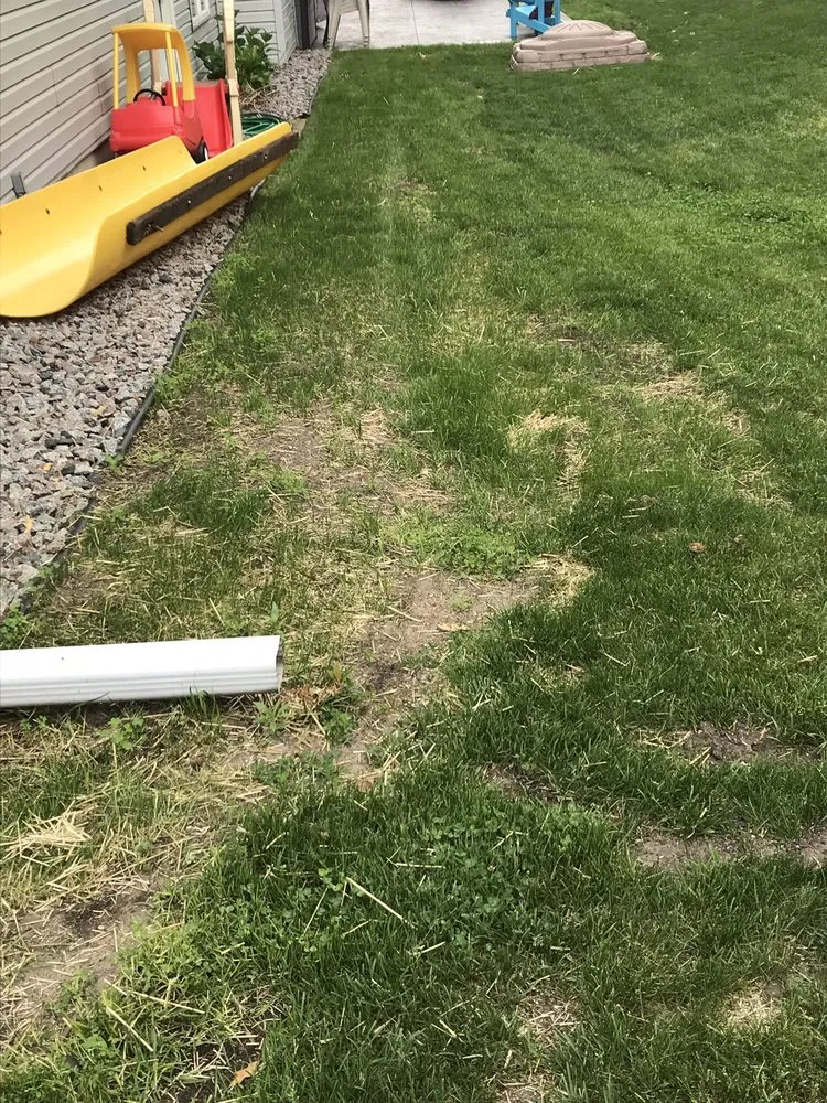 Reliable garden landscaping with custom design across Elk River, MN - Clark