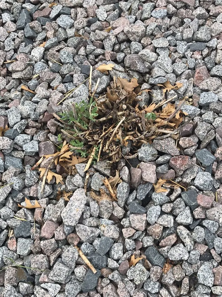 Trusted landscape installation for residential properties in Elk River, MN by Clark