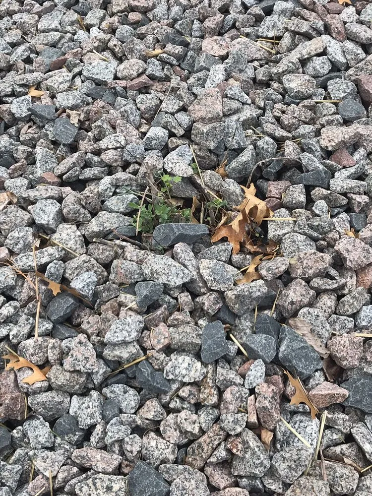 Trusted outdoor landscaping in Elk River, MN - Clark