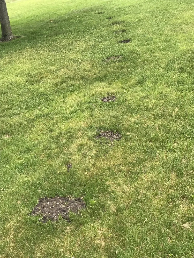 Reliable outdoor landscaping in Elk River, MN by Clark