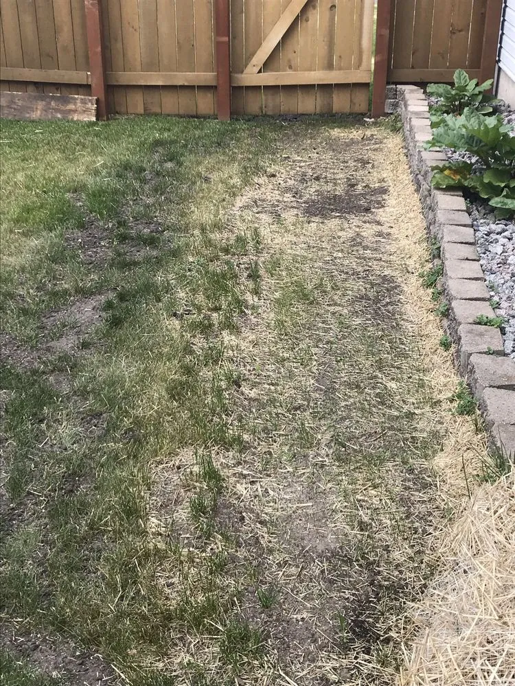 Trusted yard cleanup service for year-round maintenance in Elk River, MN by Clark