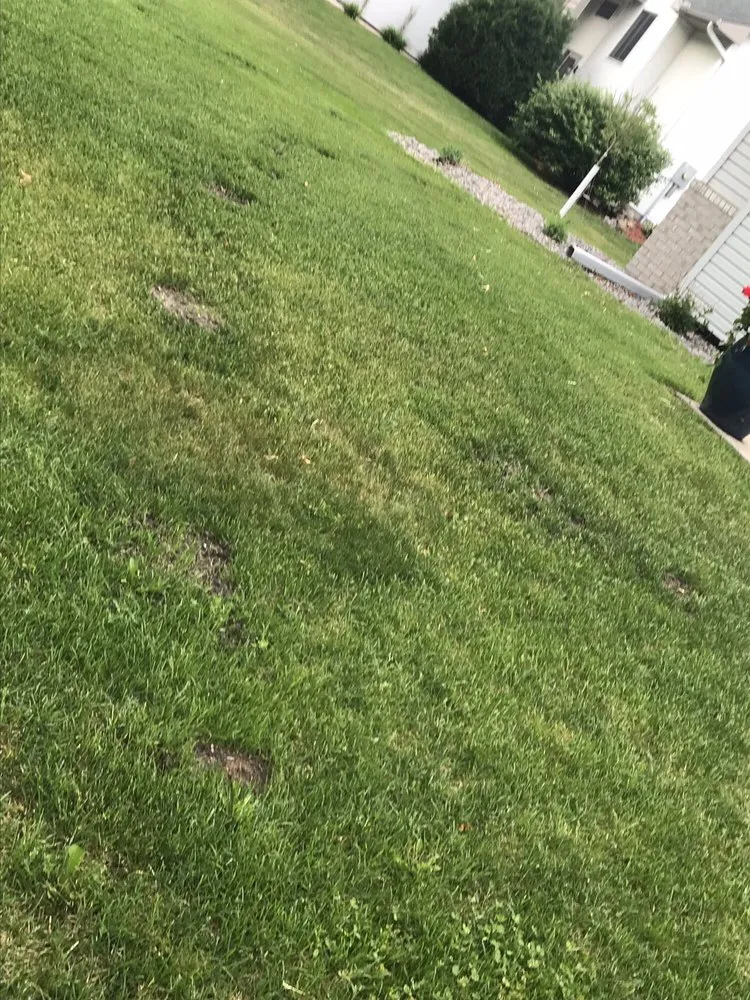 Expert lawn mowing service with custom design in Elk River, MN by Clark