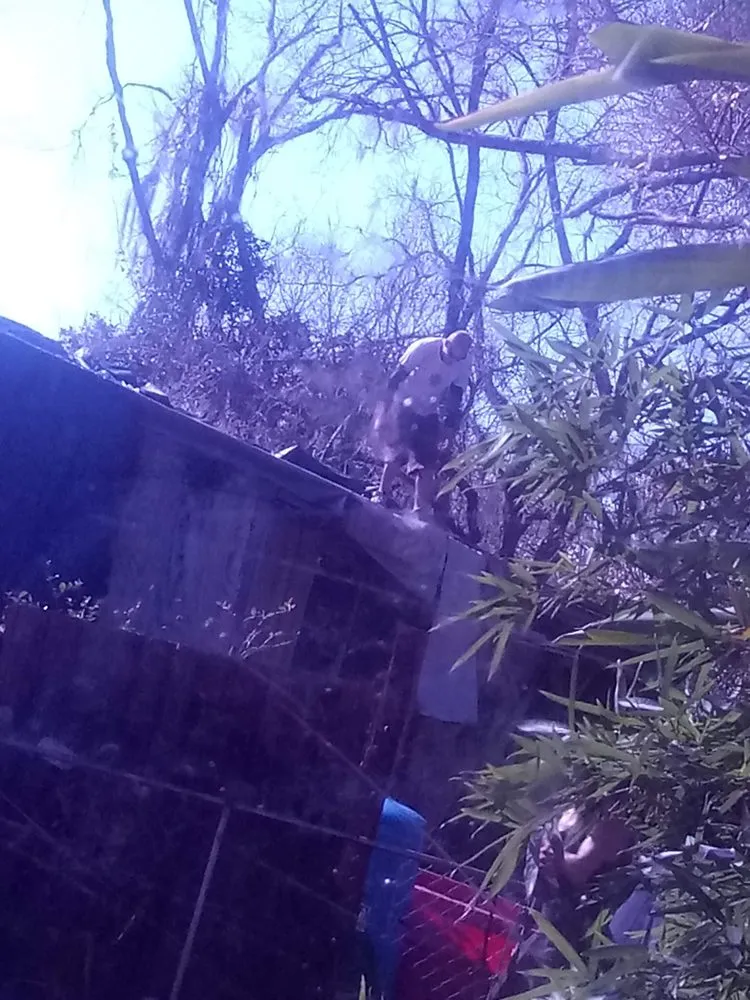 Local lawn care service in Titusville, FL by Clark Family Jack of All Trades