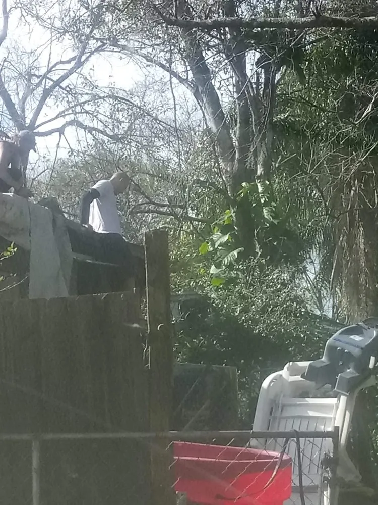 Expert yard cleanup service for year-round maintenance across Titusville, FL - Clark Family Jack of All Trades