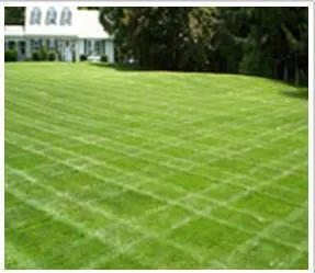 Affordable yard cleanup service in Ipswich, MA by Clark Hydroseeding