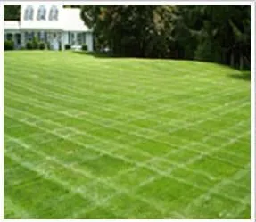 Trusted lawn mowing service in Ipswich, MA by Clark Hydroseeding