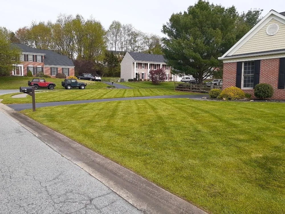 Expert yard maintenance in Marshallton, DE - Clark Landscape & Maintenance