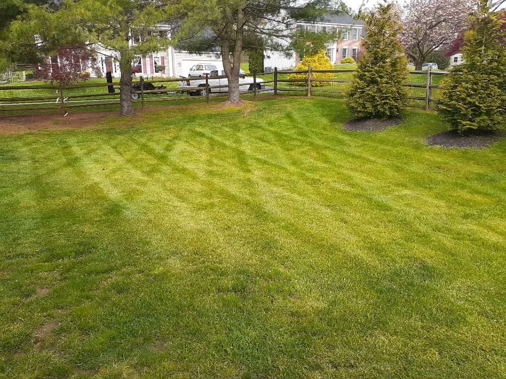 Trusted lawn care service with custom design in Marshallton, DE by Clark Landscape & Maintenance