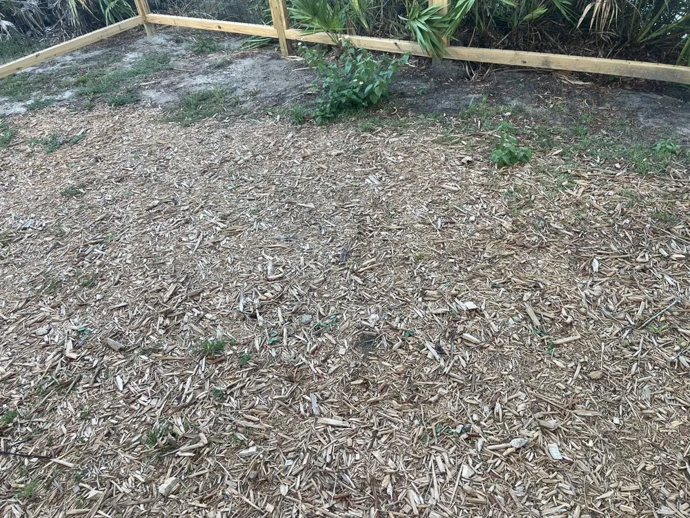 Local lawn mowing service experts serving Seabrook, SC - Clark Landscapes