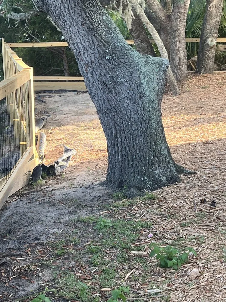 Trusted landscaping services in Seabrook, SC - Clark Landscapes