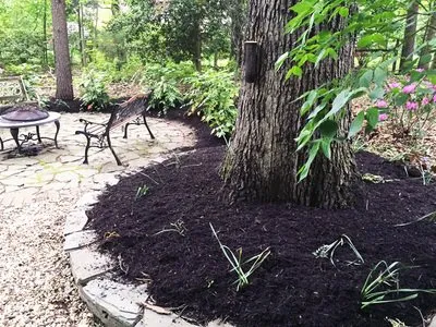 Trusted lawn care service for outdoor upgrades across Fredericksburg, VA - Clark Landscaping