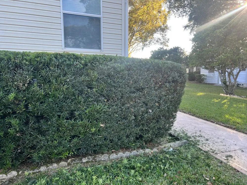 Professional lawn care service with custom design in Summerfield, FL by Clark Landscaping