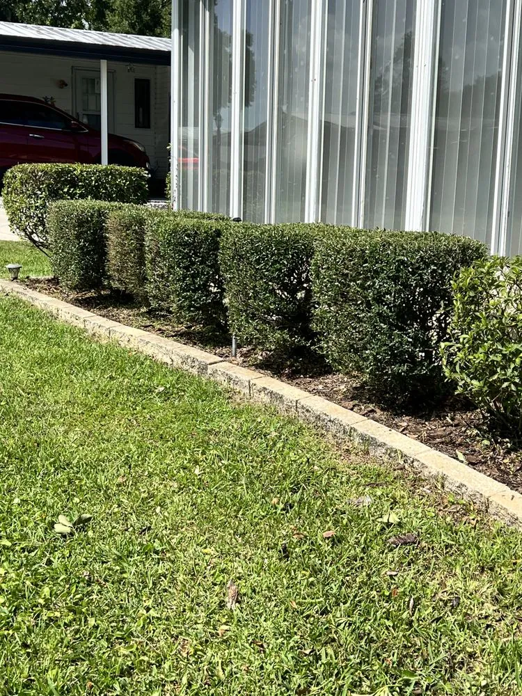 Affordable outdoor landscaping in Summerfield, FL by Clark Landscaping