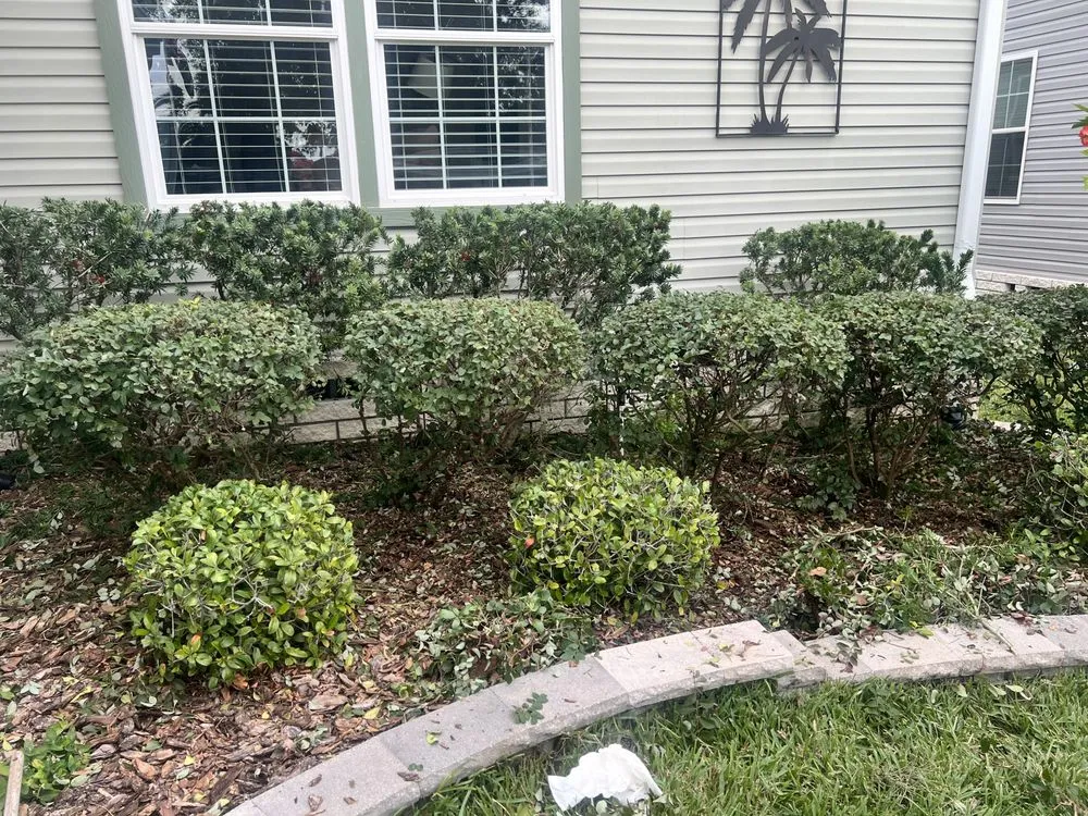 Custom yard cleanup service in Summerfield, FL - Clark Landscaping