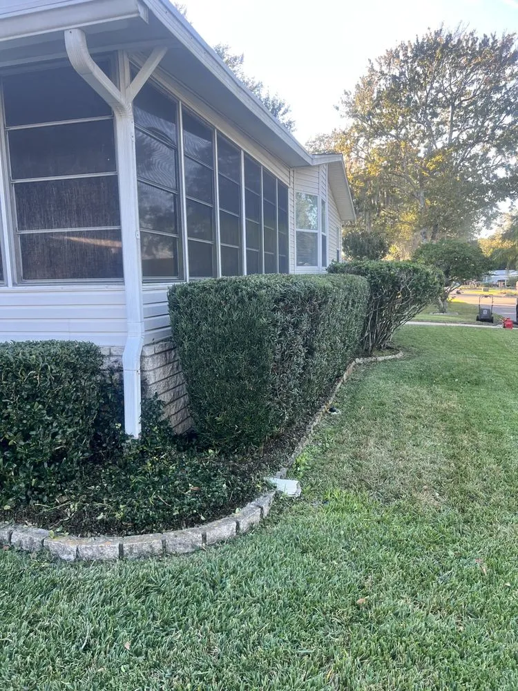 Top-rated garden landscaping in Summerfield, FL by Clark Landscaping