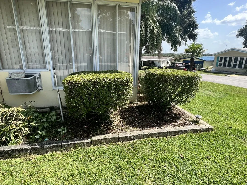 Professional yard maintenance in Summerfield, FL - Clark Landscaping