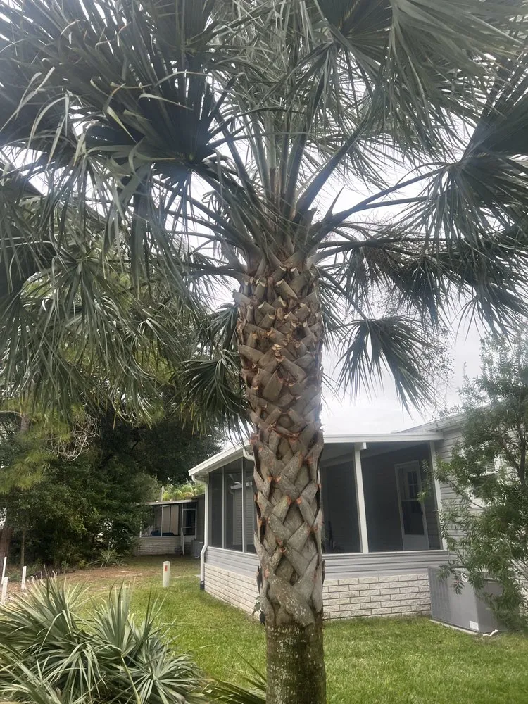 Trusted outdoor landscaping in Summerfield, FL by Clark Landscaping