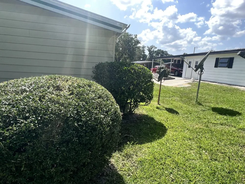 Trusted landscape design experts serving Summerfield, FL - Clark Landscaping