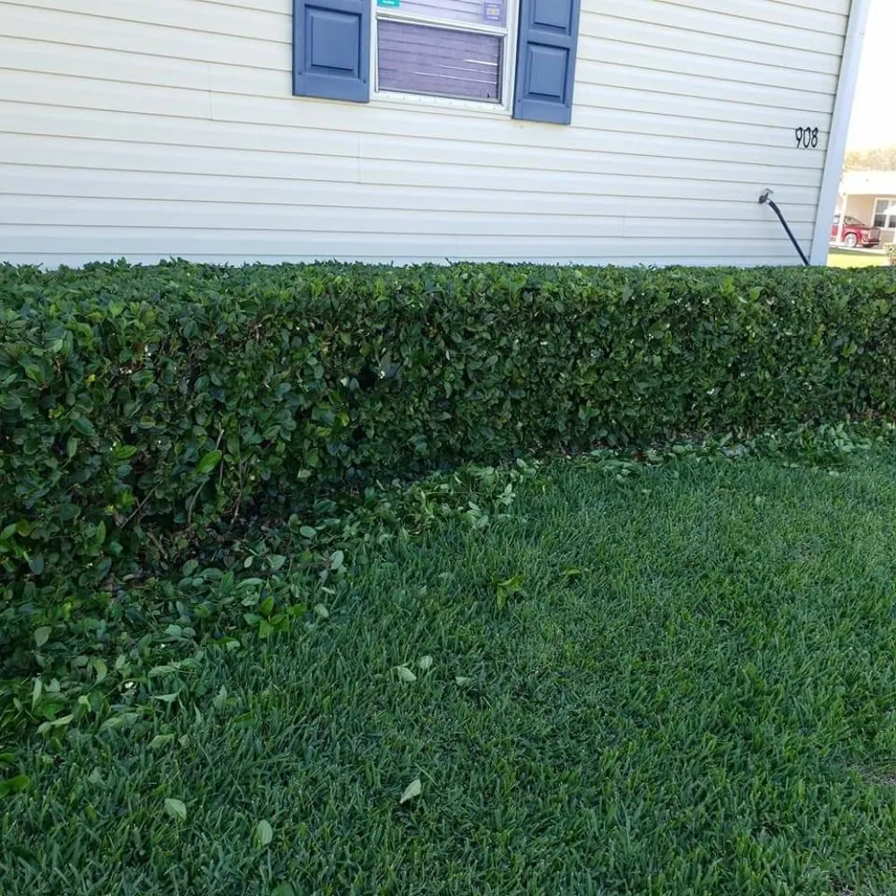 Expert landscape installation for beautiful yards in Summerfield, FL by Clark Landscaping