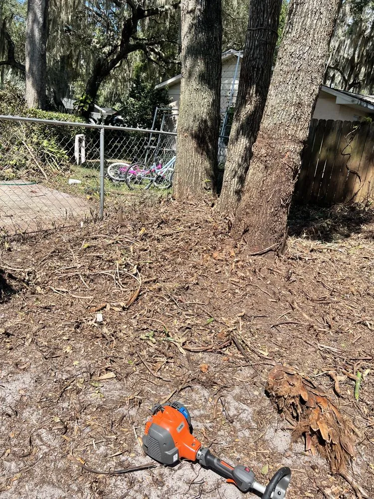 Trusted lawn mowing service in Summerfield, FL by Clark Landscaping