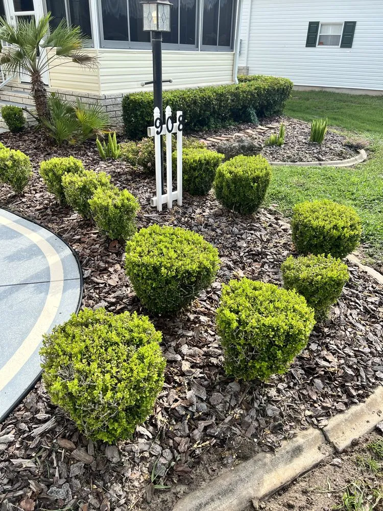 Trusted lawn mowing service for outdoor upgrades across Summerfield, FL - Clark Landscaping