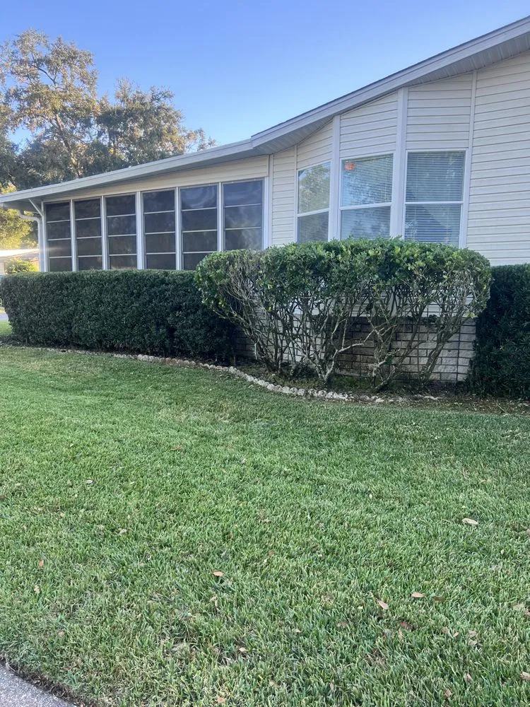 Custom yard maintenance in Summerfield, FL by Clark Landscaping