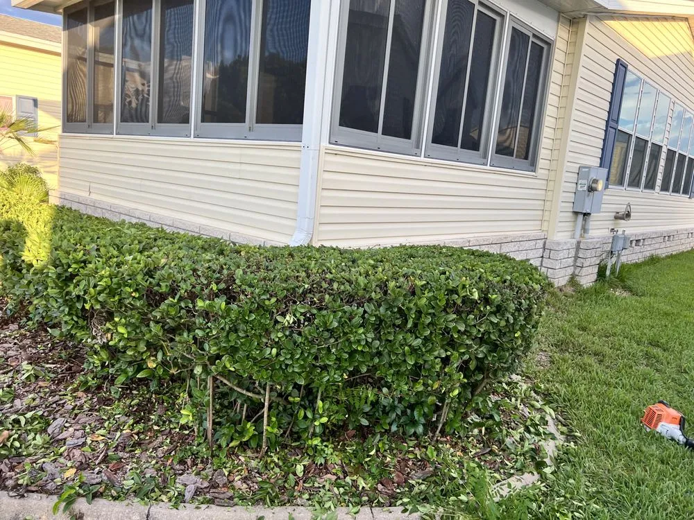 Local residential landscaping in Summerfield, FL by Clark Landscaping