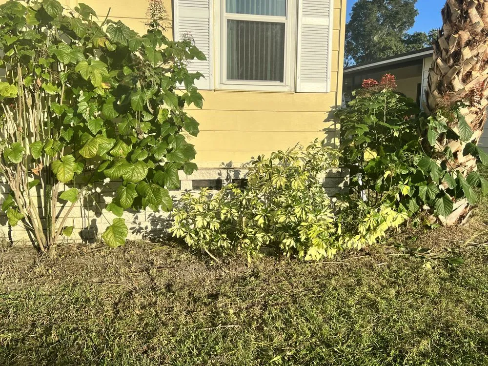 Top-rated garden landscaping in Summerfield, FL - Clark Landscaping