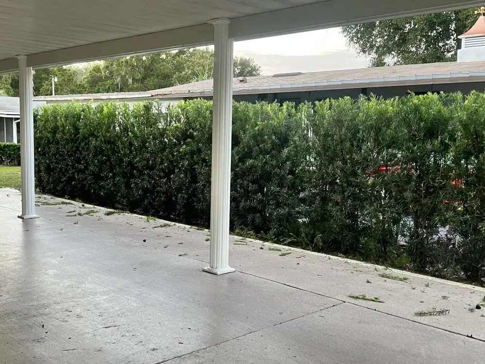 Local residential landscaping in Summerfield, FL - Clark Landscaping