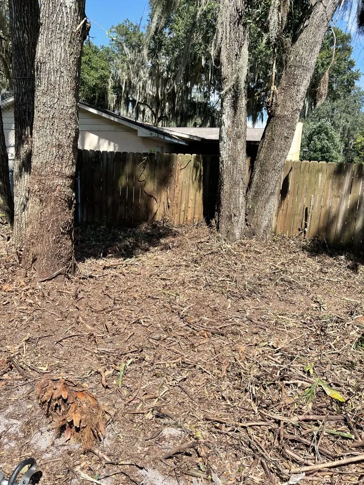 Professional landscape design in Summerfield, FL by Clark Landscaping